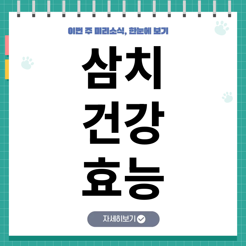 삼치 효능과 어린이·노약자도 좋아하는 영양 간식 활용법 알아보기