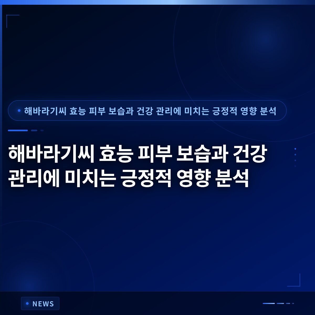 해바라기씨 효능 피부 보습과 건강 관리에 미치는 긍정적 영향 분석