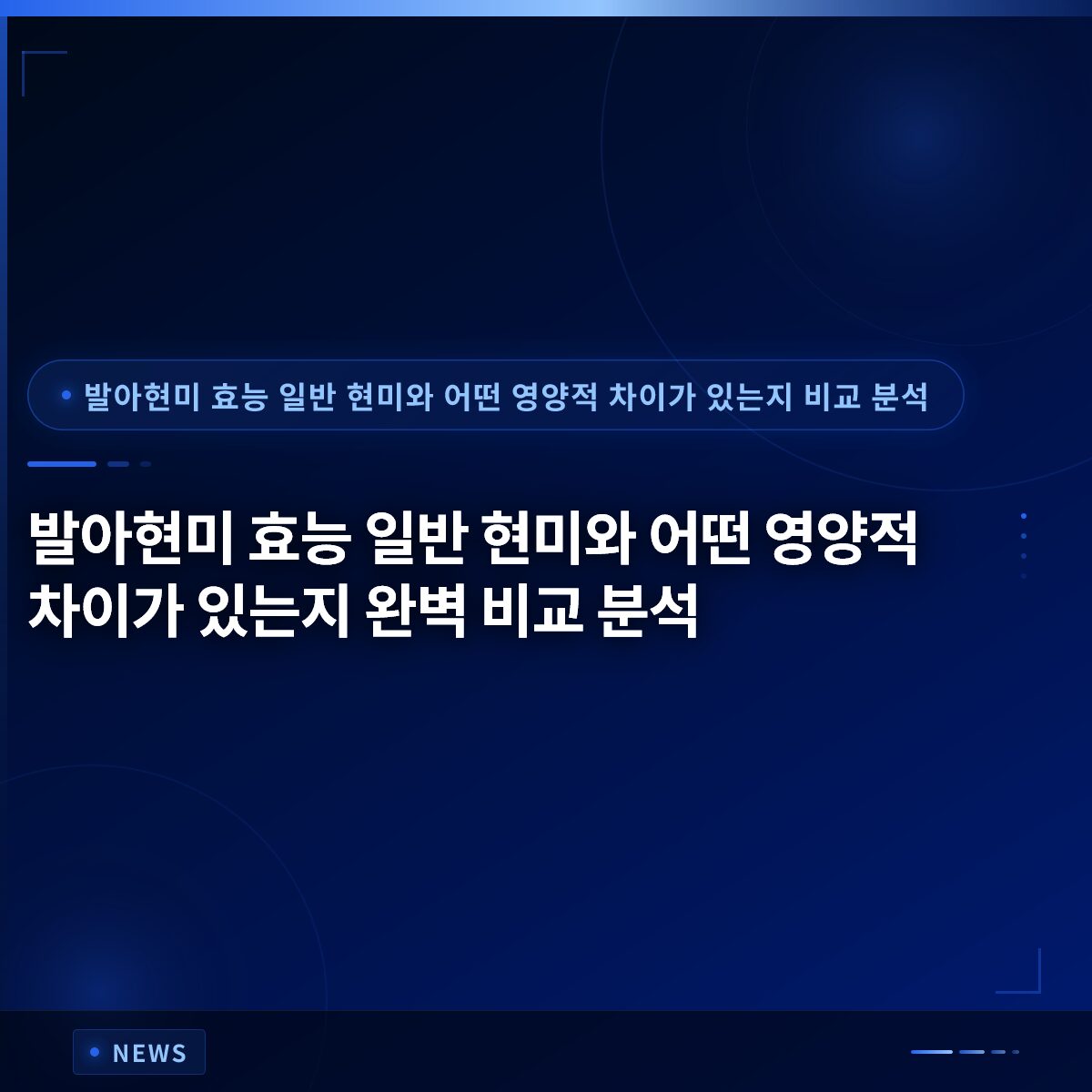 발아현미 효능 일반 현미와 어떤 영양적 차이가 있는지 완벽 비교 분석