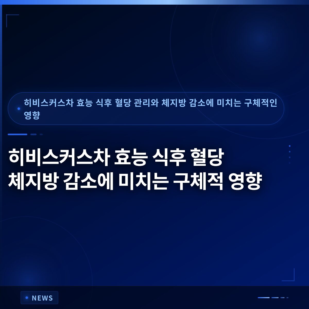 히비스커스차 효능 식후 혈당 체지방 감소에 미치는 구체적 영향