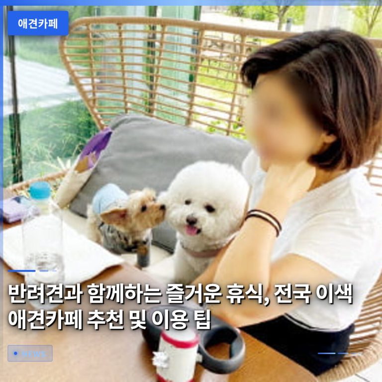 반려견과 함께하는 즐거운 휴식, 전국 이색 애견카페 추천 및 이용 팁