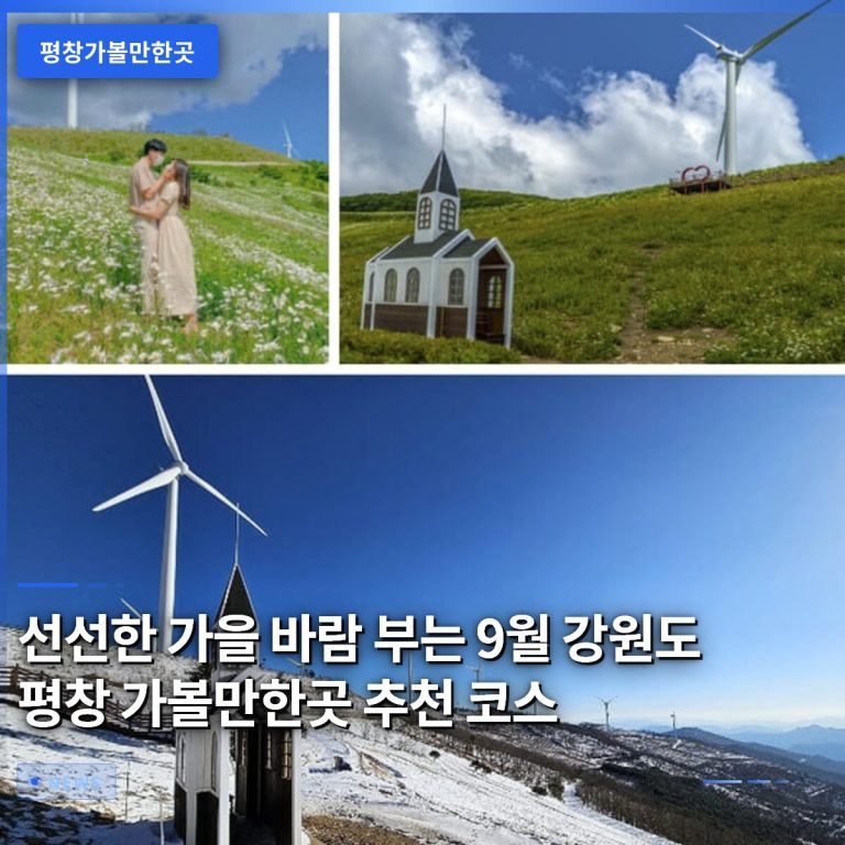 선선한 가을 바람 부는 9월 강원도 평창 가볼만한곳 추천 코스