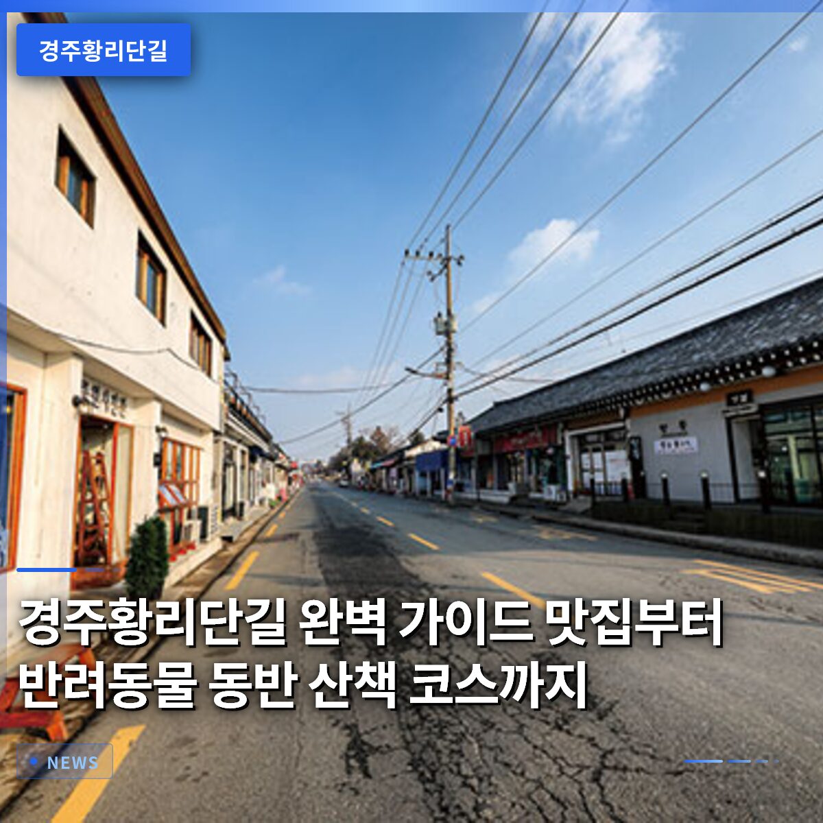 경주황리단길 완벽 가이드 맛집부터 반려동물 동반 산책 코스까지