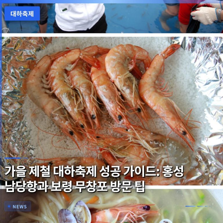 가을 제철 대하축제 성공 가이드: 홍성 남당항과 보령 무창포 방문 팁