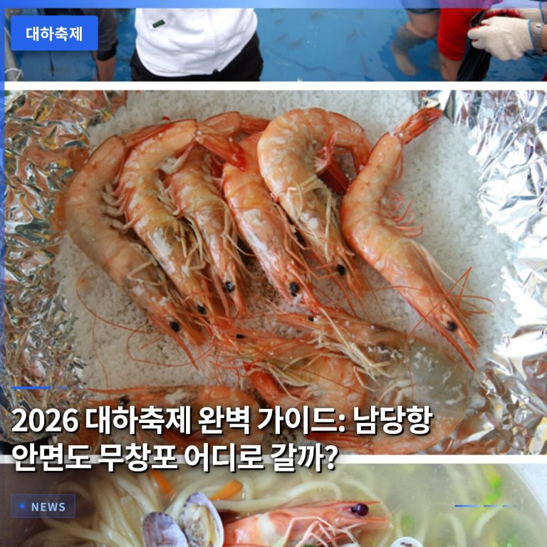 2026 대하축제 완벽 가이드: 남당항 안면도 무창포 어디로 갈까?