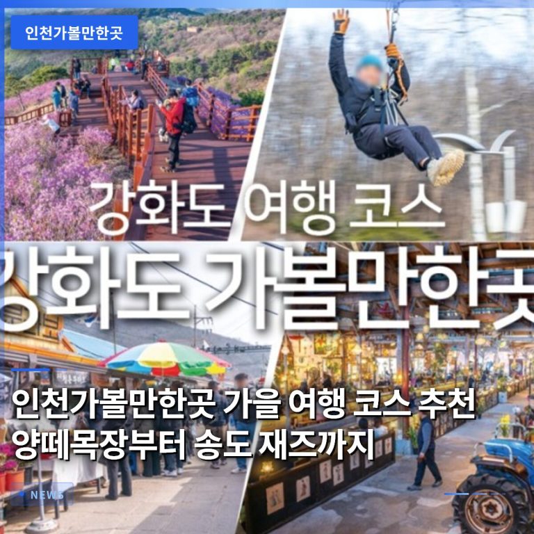 인천가볼만한곳 가을 여행 코스 추천 양떼목장부터 송도 재즈까지