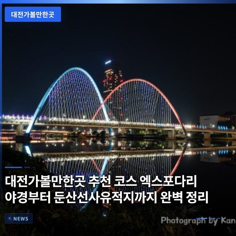 대전가볼만한곳 추천 코스 엑스포다리 야경부터 둔산선사유적지까지 완벽 정리