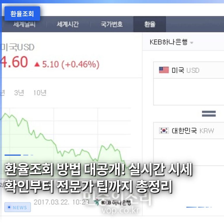 환율조회 방법 대공개! 실시간 시세 확인부터 전문가 팁까지 총정리