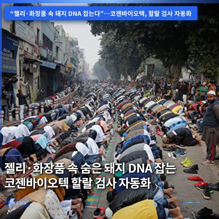 젤리·화장품 속 숨은 돼지 DNA 잡는 코젠바이오텍 할랄 검사 자동화
