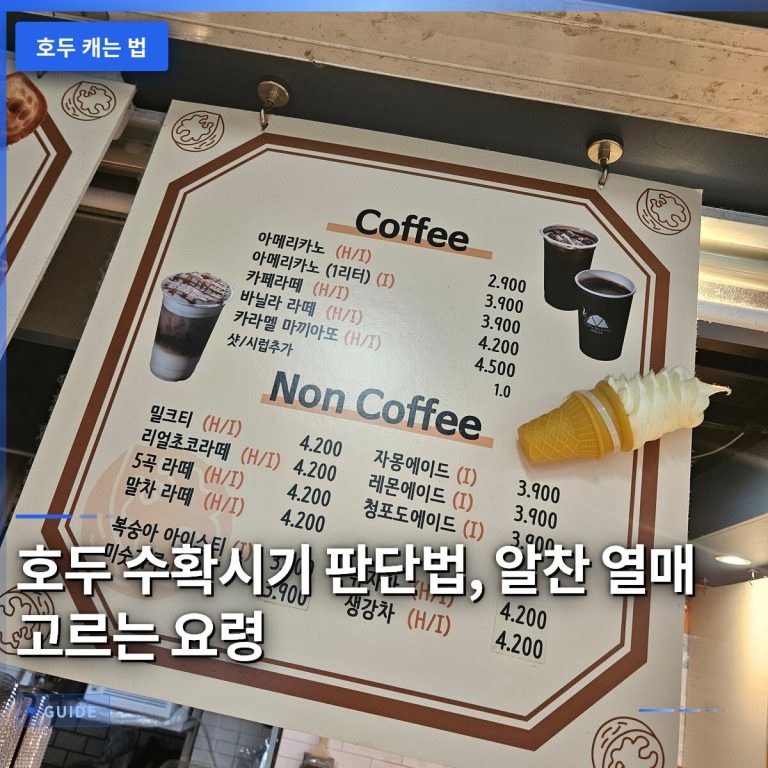 호두 수확시기 판단법, 알찬 열매 고르는 요령