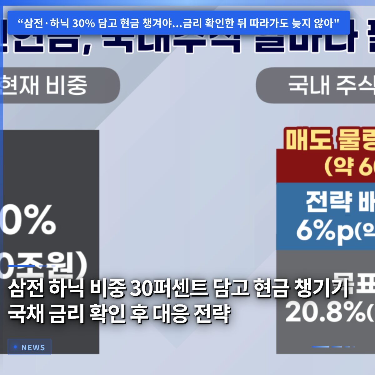 삼전 하닉 비중 30퍼센트 담고 현금 챙기기 국채 금리 확인 후 대응 전략