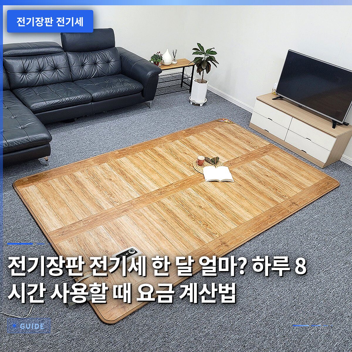 전기장판 전기세 한 달 얼마? 하루 8시간 사용할 때