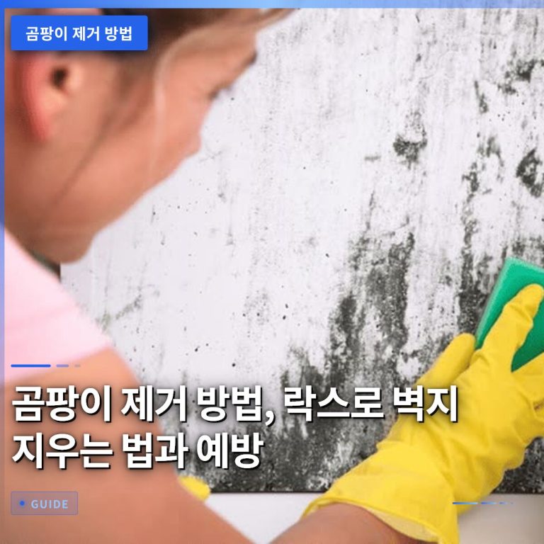 곰팡이 제거 방법, 락스로 벽지 지우는 법과 예방